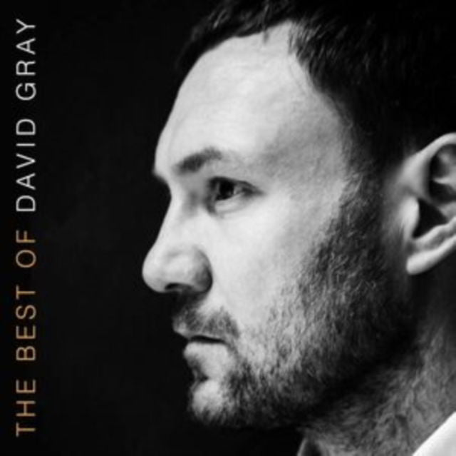 David Gray - The Best of David Gray (2 LPs) Cover Arts and Media | Records on Vinyl