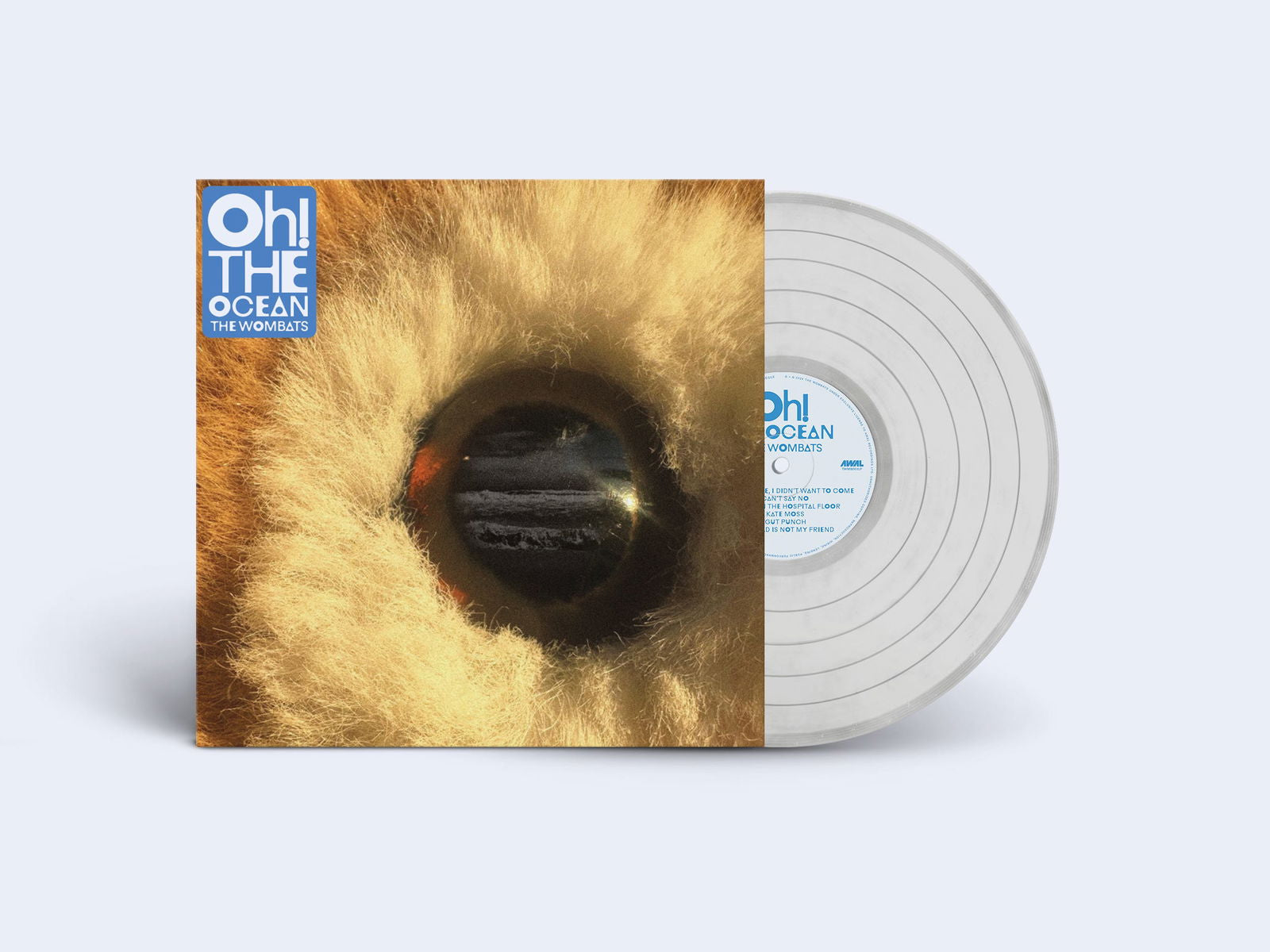 the Wombats - Oh! the Ocean (Single) Cover Arts and Media | Records on Vinyl