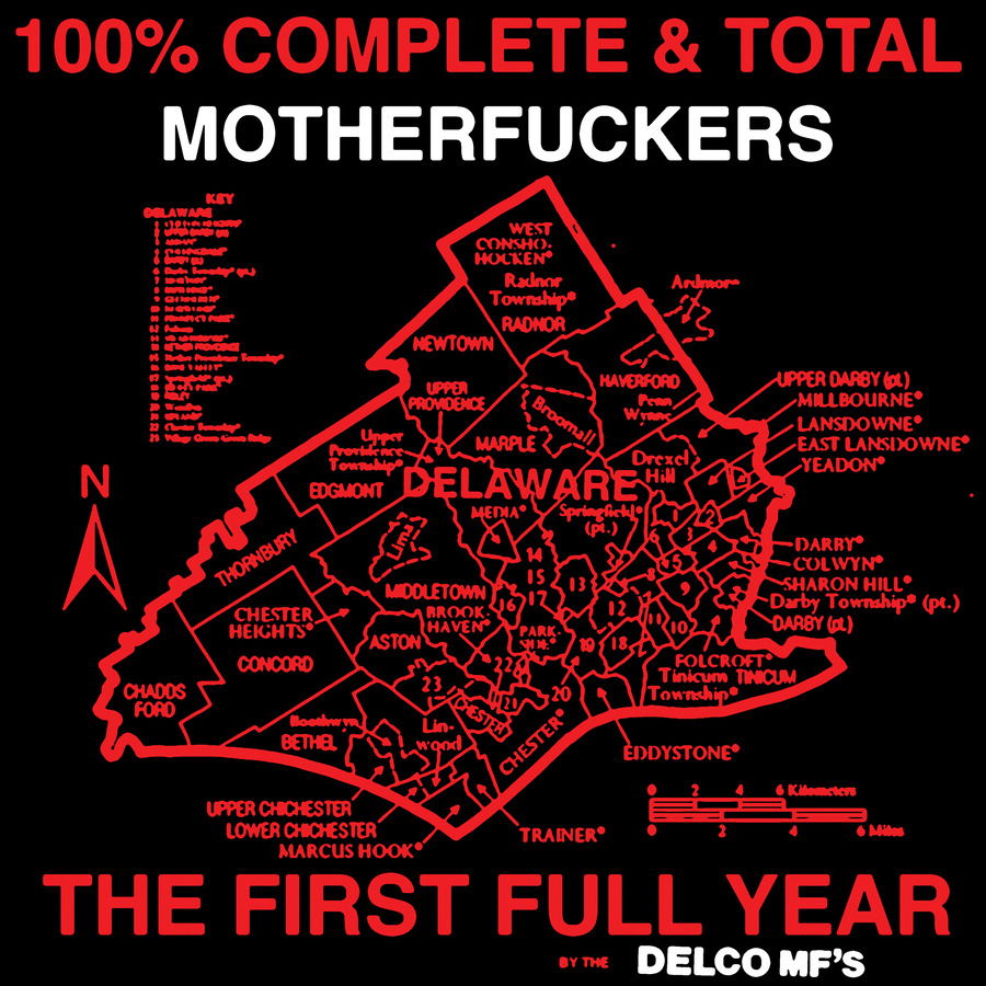 Delco Mf's - 100% Complete and Total Motherfuckers (LP) Cover Arts and Media | Records on Vinyl