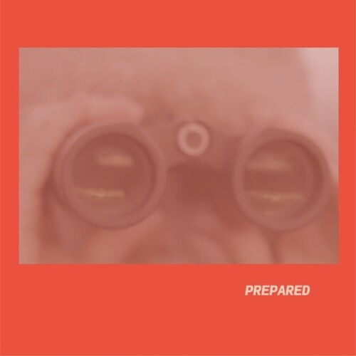  |   | Laura J Martin - Prepared (LP) | Records on Vinyl