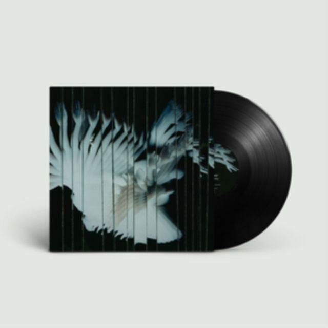 Scaler - Endlessly (LP) Cover Arts and Media | Records on Vinyl