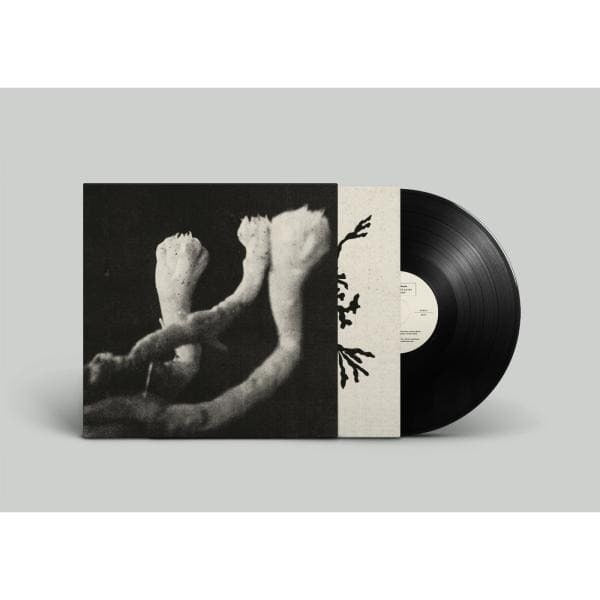 Sophie Agnel - Learning (LP) Cover Arts and Media | Records on Vinyl