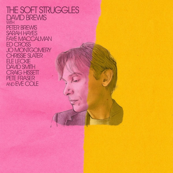 David Brewis - Soft Struggles (LP) Cover Arts and Media | Records on Vinyl