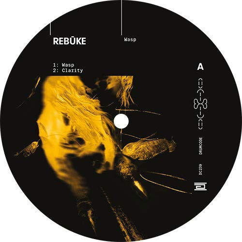 Rebuke - Wasp (Single) Cover Arts and Media | Records on Vinyl