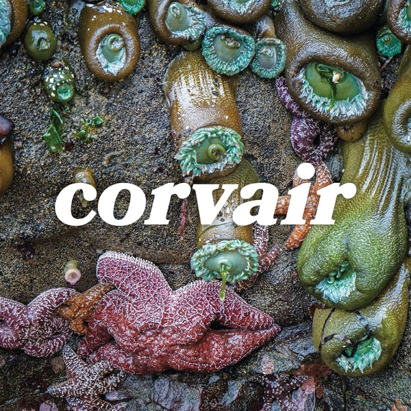  |   | Corvair - Corvair (LP) | Records on Vinyl