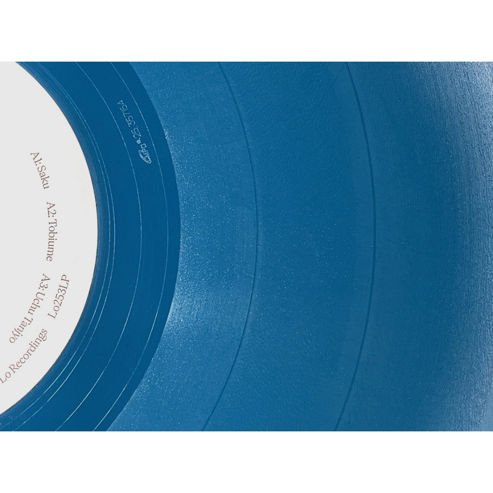 Susumu Yokota - Sakura (2 LPs) Cover Arts and Media | Records on Vinyl