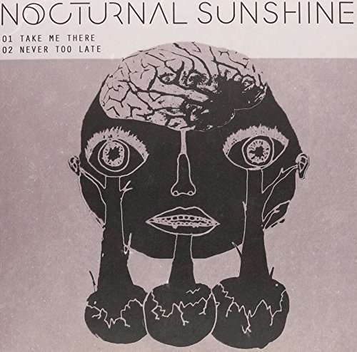 Nocturnal Sunshine - Take Me There (Single) Cover Arts and Media | Records on Vinyl