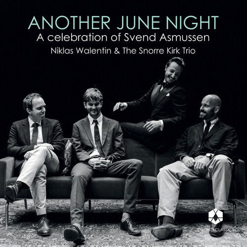 Niklas Walentin - Another June Night (LP) Cover Arts and Media | Records on Vinyl