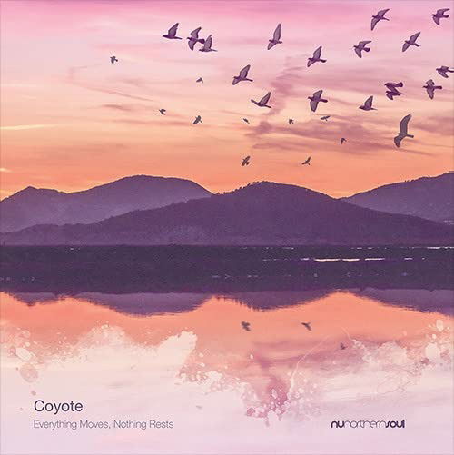 Coyote - Everything Moves, Nothing Rests (LP) Cover Arts and Media | Records on Vinyl