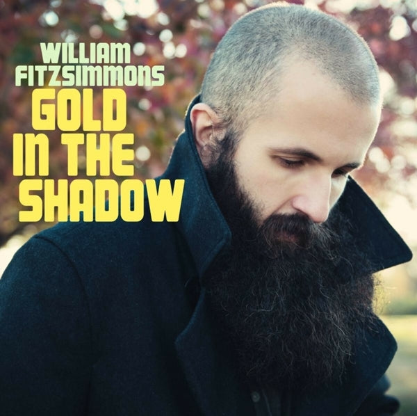 William Fitzsimmons - Gold In the Shadow (2 LPs) Cover Arts and Media | Records on Vinyl