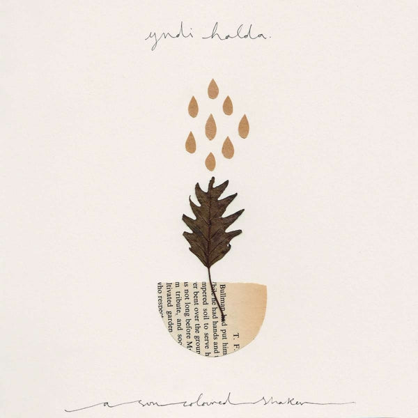  |   | Yndi Halda - A Sun Coloured Shaker (Single) | Records on Vinyl