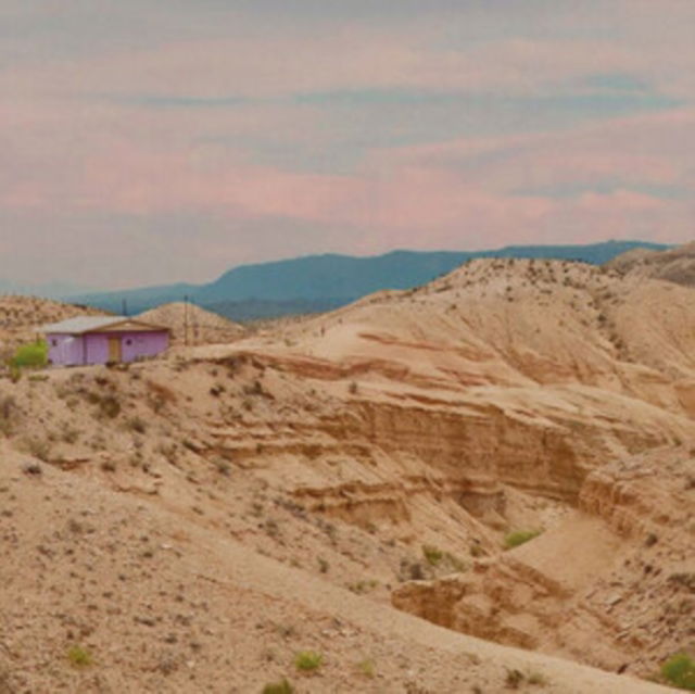 Lavender - Lowlight:Slowlight (Single) Cover Arts and Media | Records on Vinyl