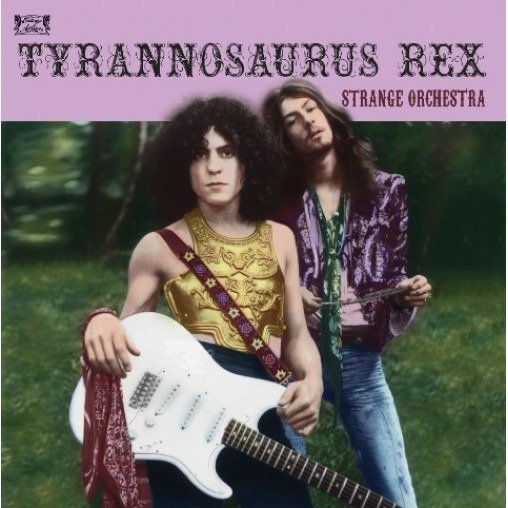 Tyrannosaurus Rex - Strange Orchestra (2 LPs) Cover Arts and Media | Records on Vinyl