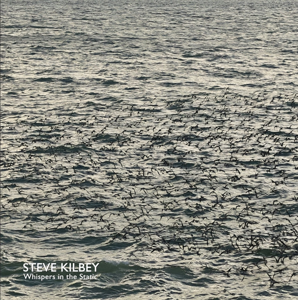  |   | Steve Kilbey - Whispers In the Attic (2 LPs) | Records on Vinyl