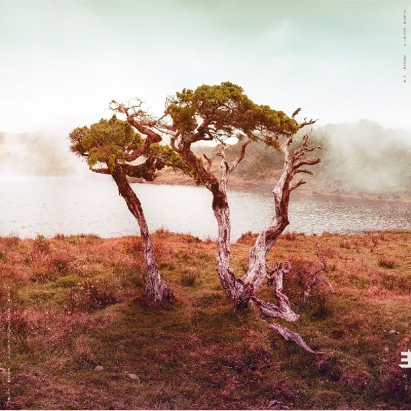  |  Vinyl LP | Slowly Rolling Camera - Juniper (LP) | Records on Vinyl