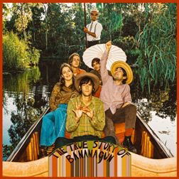 Bananagun - The True Story of Bananagun (2 LPs) Cover Arts and Media | Records on Vinyl