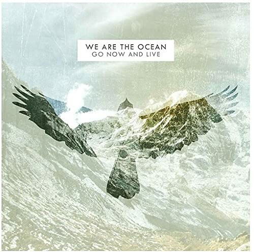 We Are the Ocean - Go Now & Live (LP) Cover Arts and Media | Records on Vinyl