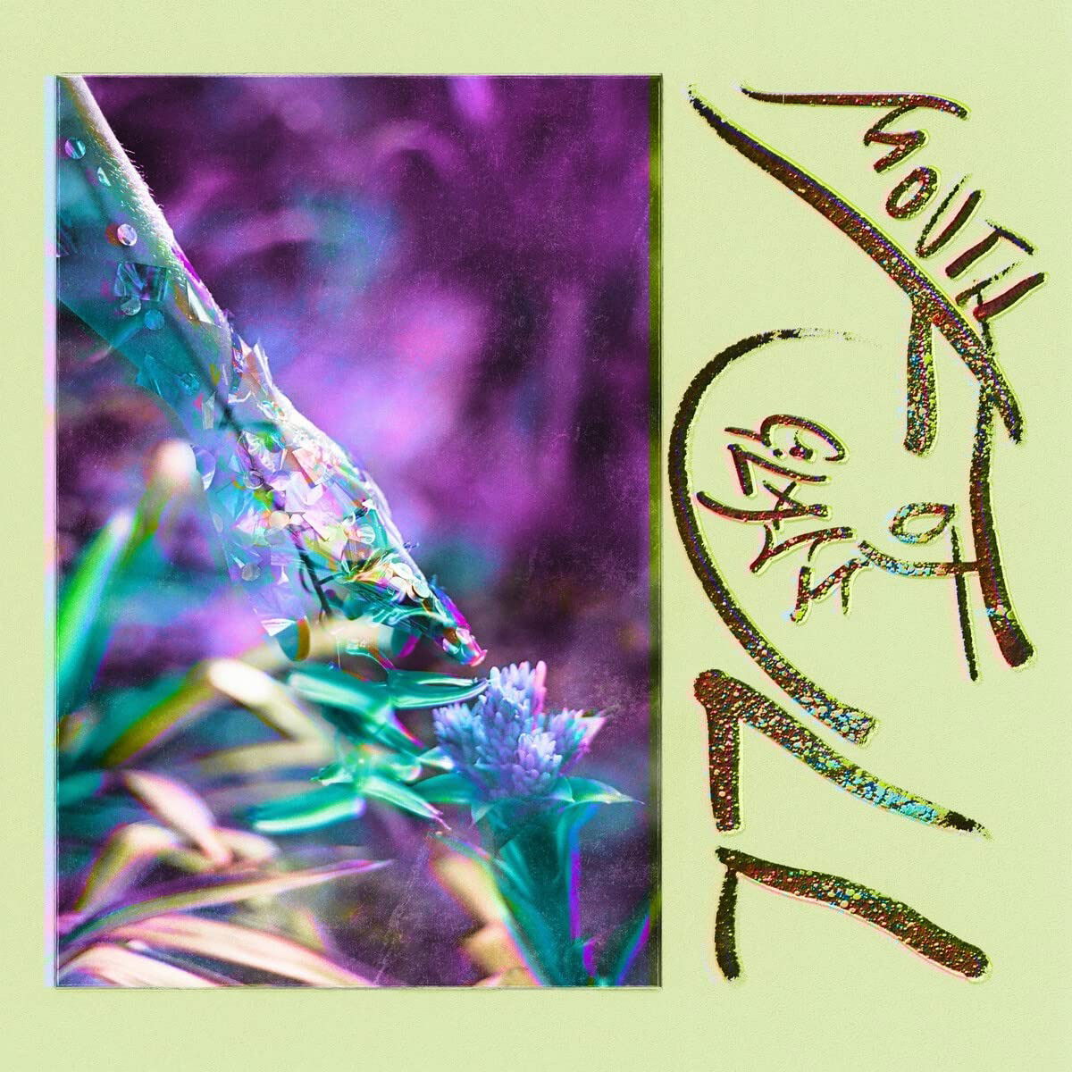 Macie Stewart - Mouth Full of Glass (LP) Cover Arts and Media | Records on Vinyl