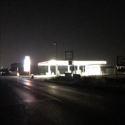 Rainy Miller - Joseph What Have You Done (LP) Cover Arts and Media | Records on Vinyl