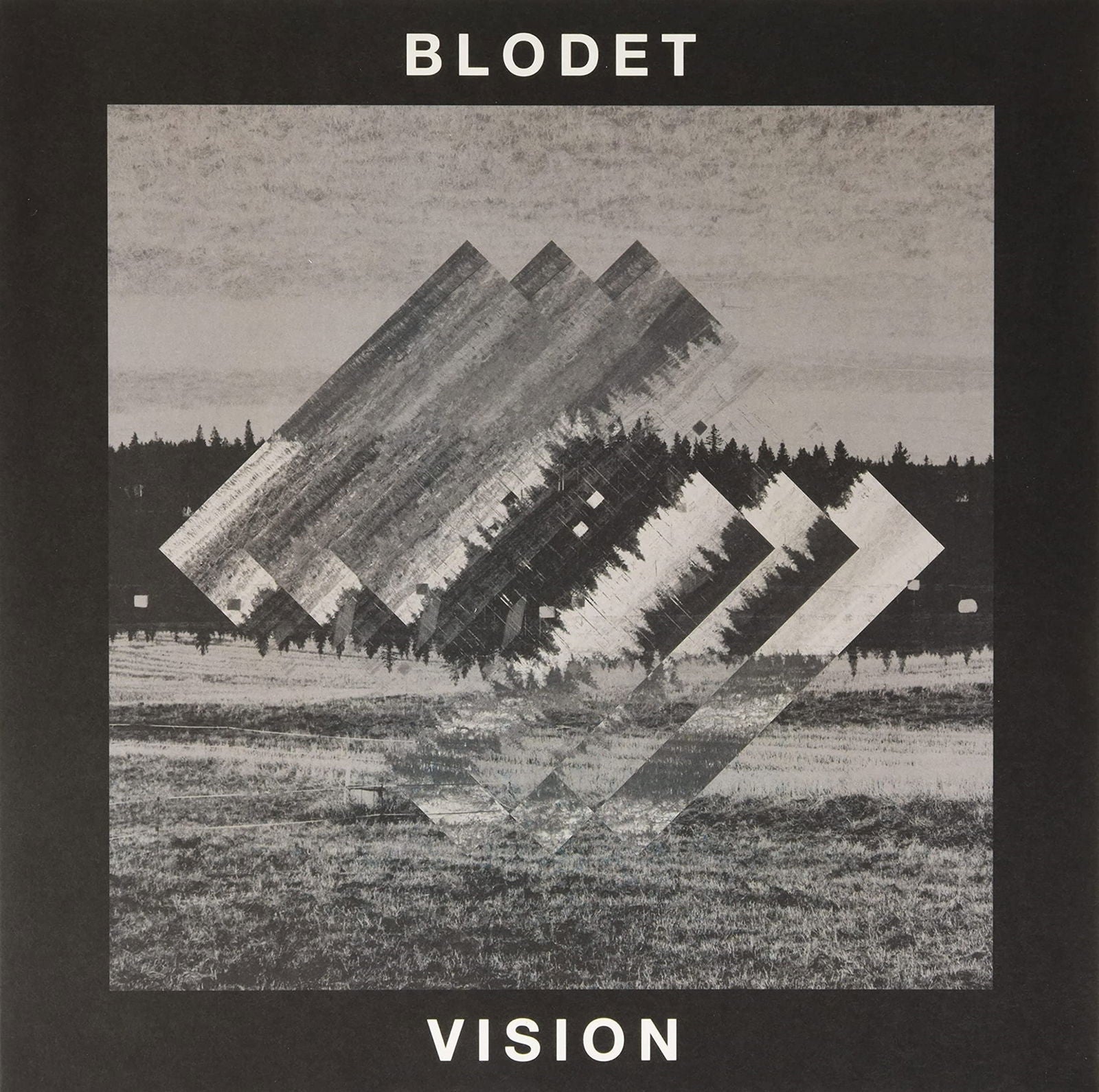 Blodet - Vision (Single) Cover Arts and Media | Records on Vinyl