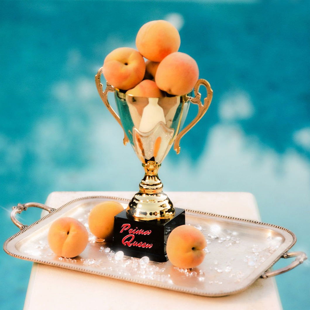 Prima Queen - The Prize (LP) Cover Arts and Media | Records on Vinyl