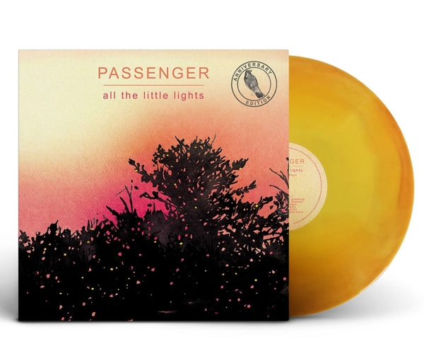  |   | Passenger - All the Little Lights (LP) | Records on Vinyl