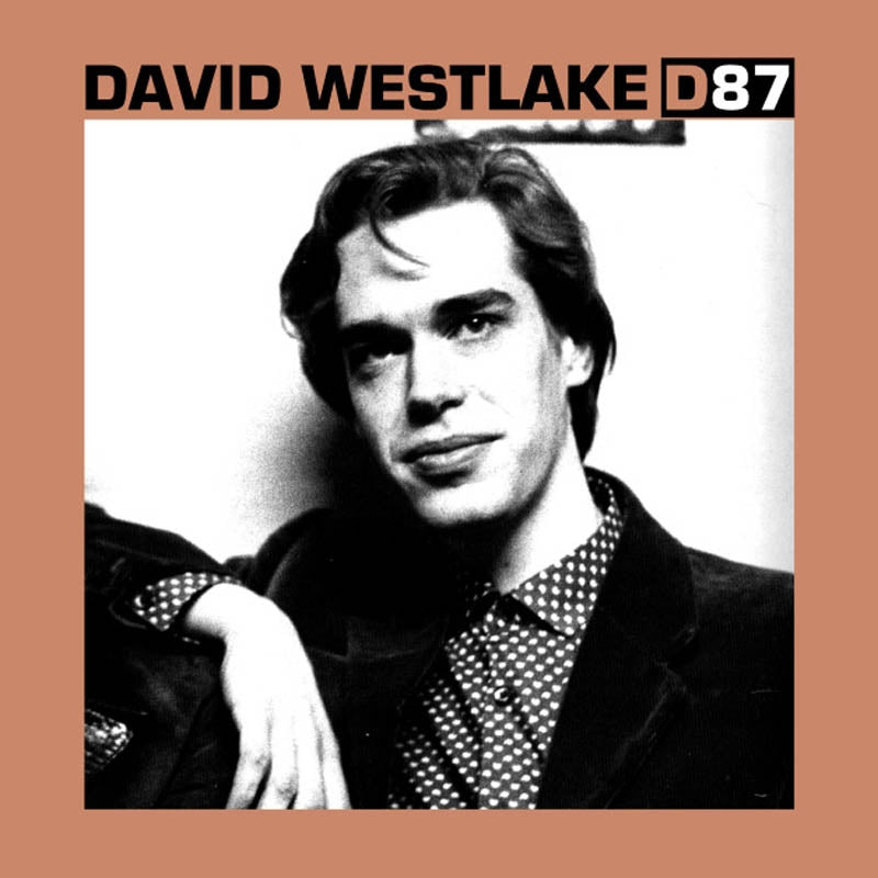  |   | David Westlake - D87 (LP) | Records on Vinyl