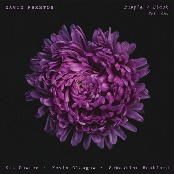  |   | David Preston - Purple / Black Vol.1 (LP) | Records on Vinyl