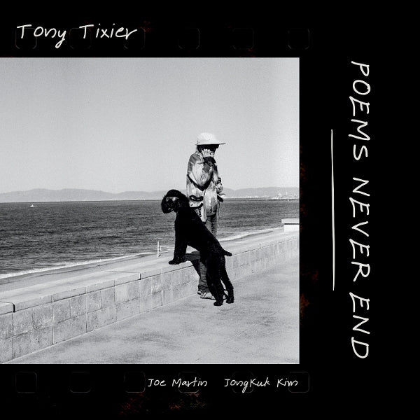  |  Vinyl LP | Tony Tixier - Poems Never End (LP) | Records on Vinyl