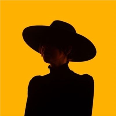 Howlers - What You've Got To Lose To Win It All (LP) Cover Arts and Media | Records on Vinyl