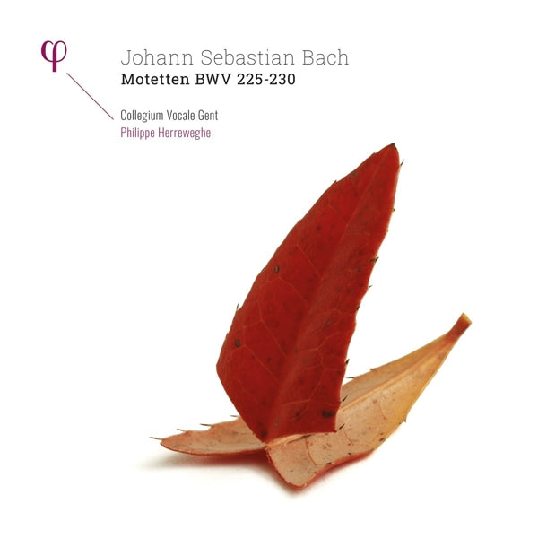  |   | Johann Sebastian Bach - Motetten Bwv 225-230 (2 LPs) | Records on Vinyl