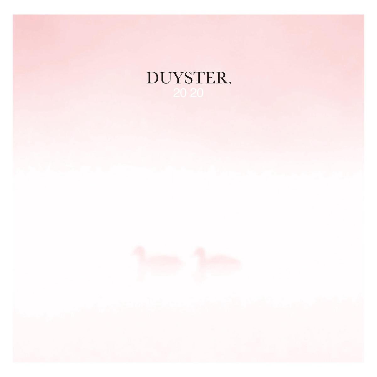 V/A - Duyster 2020 (2 LPs) Cover Arts and Media | Records on Vinyl