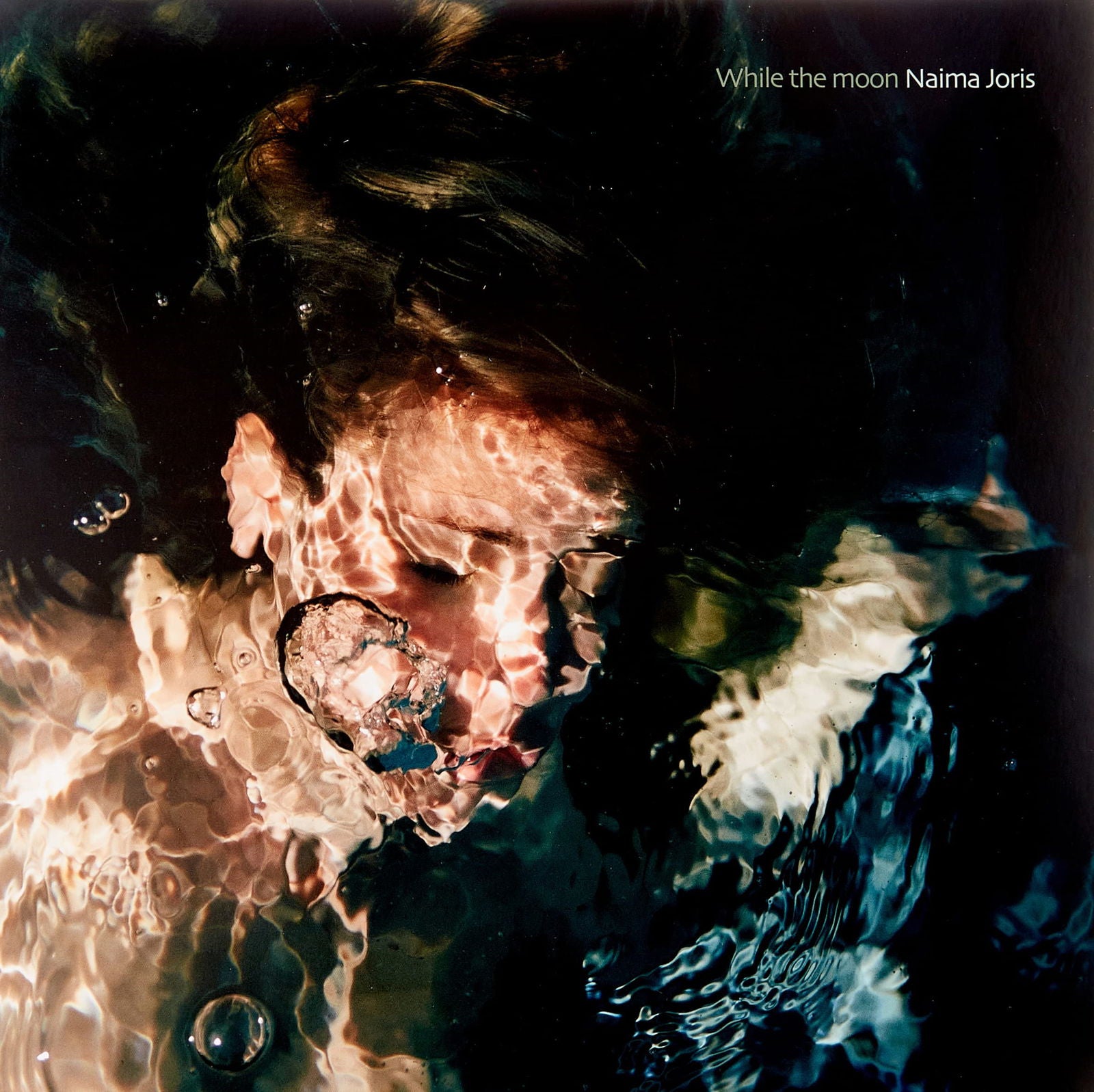 Naima Joris - While the Moon (LP) Cover Arts and Media | Records on Vinyl