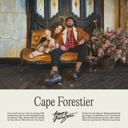 Angus & Julia Stone - Cape Forestier (LP) Cover Arts and Media | Records on Vinyl