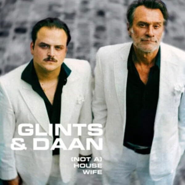 Glints & Daan - (Not A) Housewife (Single) Cover Arts and Media | Records on Vinyl