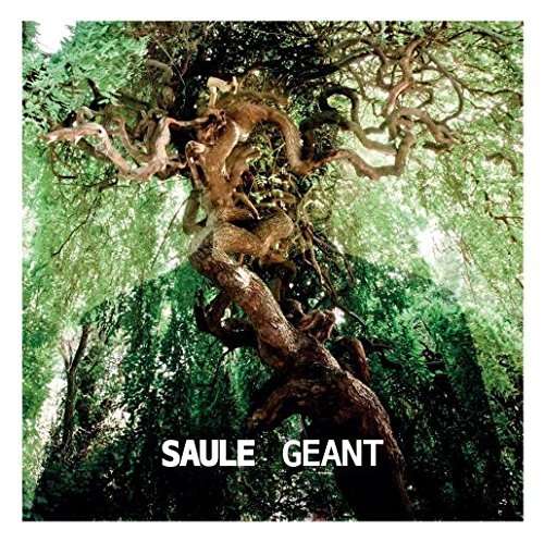 Saule - Geant (LP) Cover Arts and Media | Records on Vinyl