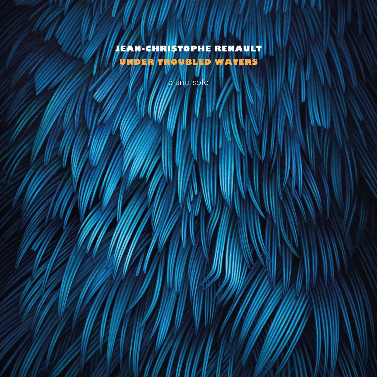 Jean-Christophe Renault - Under Troubled Waters (LP) Cover Arts and Media | Records on Vinyl