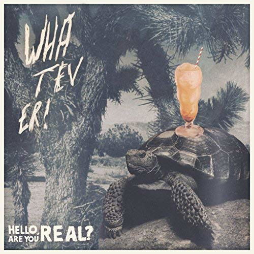 Whatever - Hello Are You Real / Aron Dalesio (2 LPs) Cover Arts and Media | Records on Vinyl