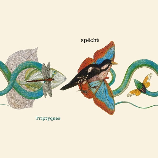 Specht - Triptyques (LP) Cover Arts and Media | Records on Vinyl