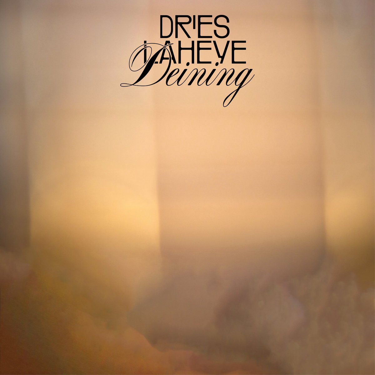 Dries Laheye - Deining (LP) Cover Arts and Media | Records on Vinyl