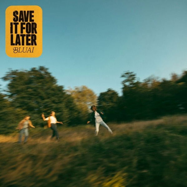 Bluai - Save It For Later (LP) Cover Arts and Media | Records on Vinyl