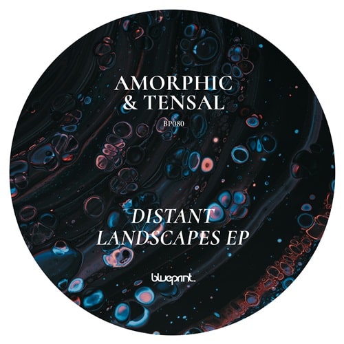 Amorphic & Tensal - Distant Landscapes (Single) Cover Arts and Media | Records on Vinyl