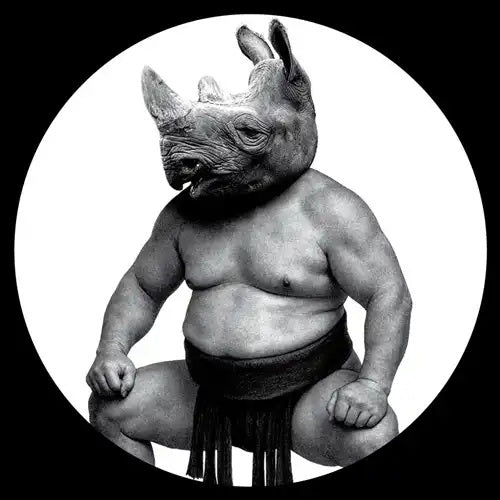 Conceptual - Between Sand and Roses (Single) Cover Arts and Media | Records on Vinyl