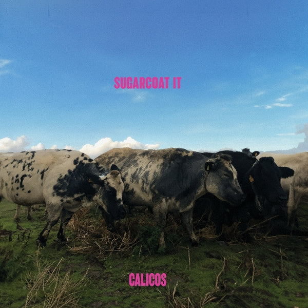 Calicos - Sugarcoat It (LP) Cover Arts and Media | Records on Vinyl