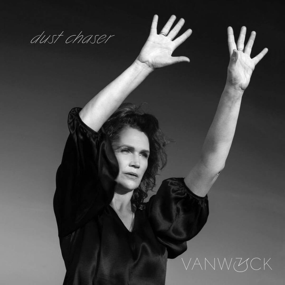 Vanwyck - Dustchaser (LP) Cover Arts and Media | Records on Vinyl