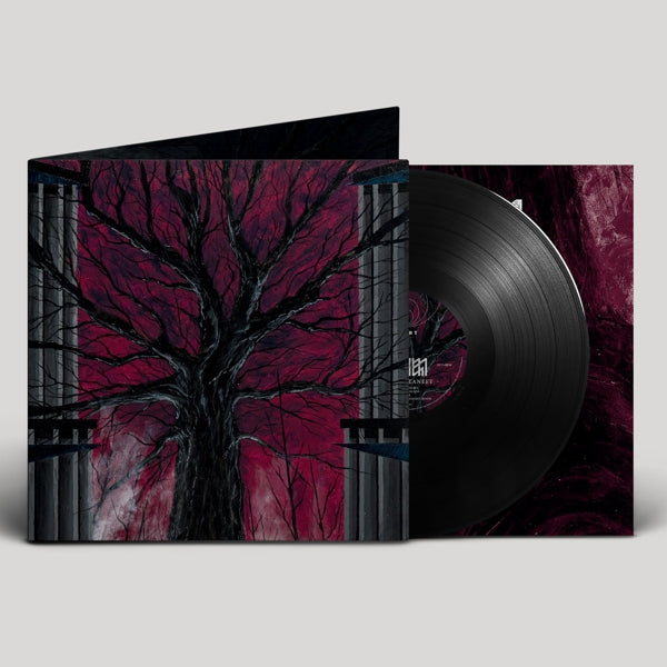  |   | Radien - Unissa Palaneet (LP) | Records on Vinyl