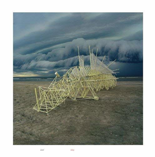 Wind - Sleep -10"- (LP) Cover Arts and Media | Records on Vinyl