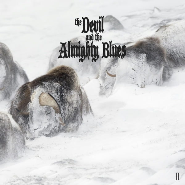 Devil and the Almighty Blues - Ii (2 LPs) Cover Arts and Media | Records on Vinyl