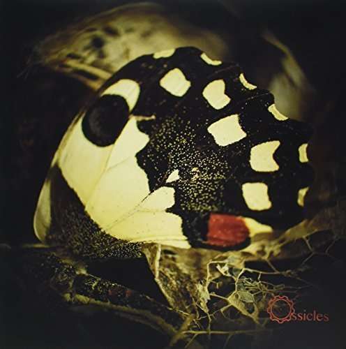 Ossicles - Music For Wastelands (LP) Cover Arts and Media | Records on Vinyl