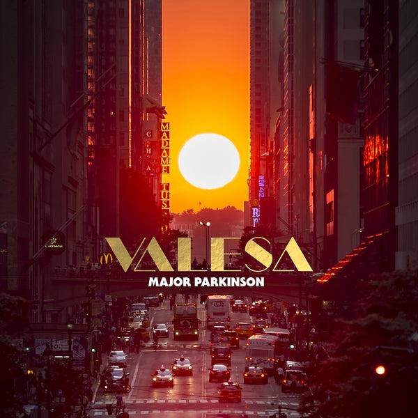  |   | Major Parkinson - Valesa (2 LPs) | Records on Vinyl